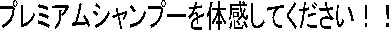 v~AVv[̊ĂII
